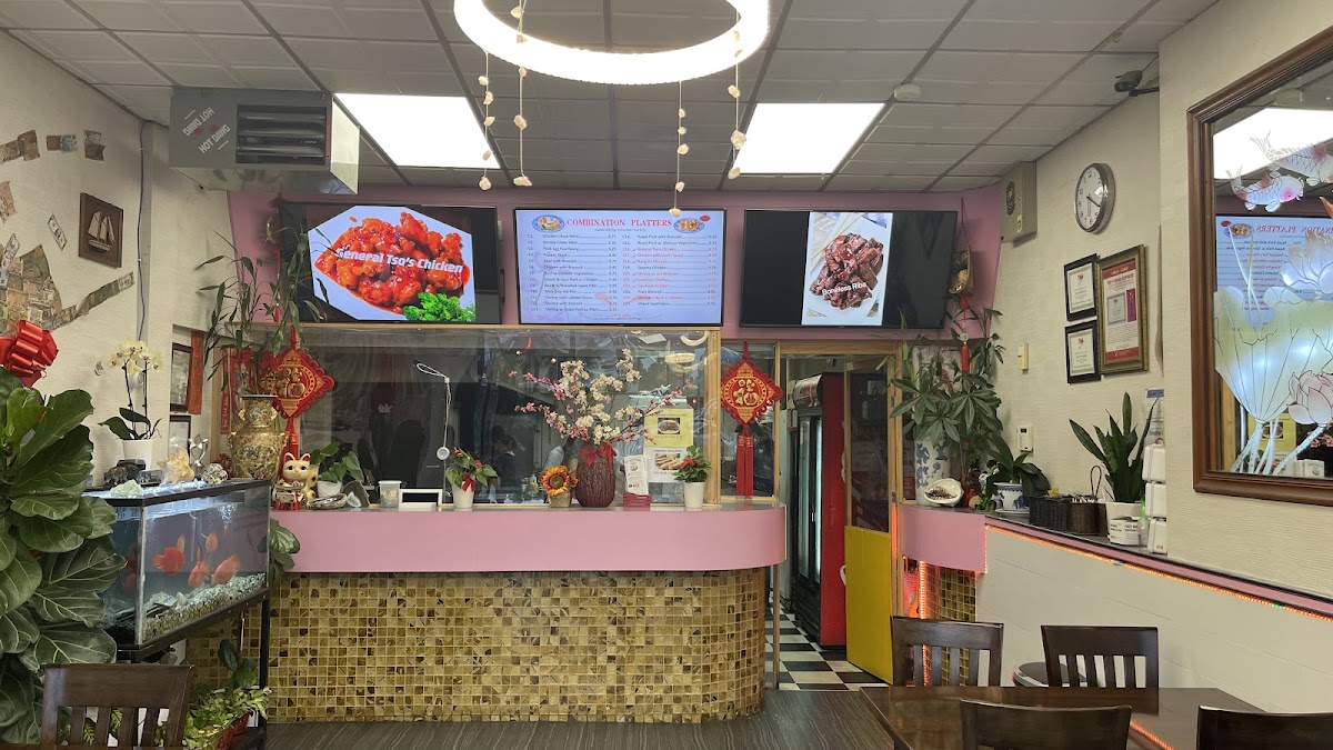 Top 1 China Express 729